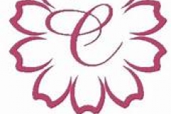 DU HỌC NHẬT BẢN TẠI TOKYO – HỌC VIỆN NGÔN NGỮ QUỐC TẾ COSMOS